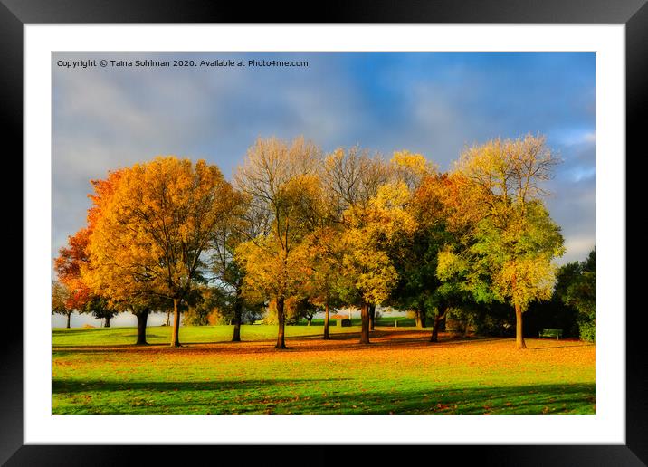 Beautiful Colours of Autumn in the Park Framed Mounted Print by Taina Sohlman