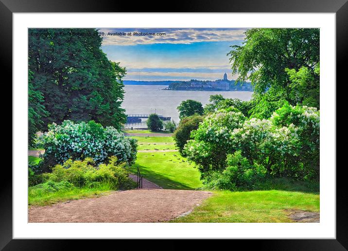 Beautiful Summer Morning in the Park Framed Mounted Print by Taina Sohlman