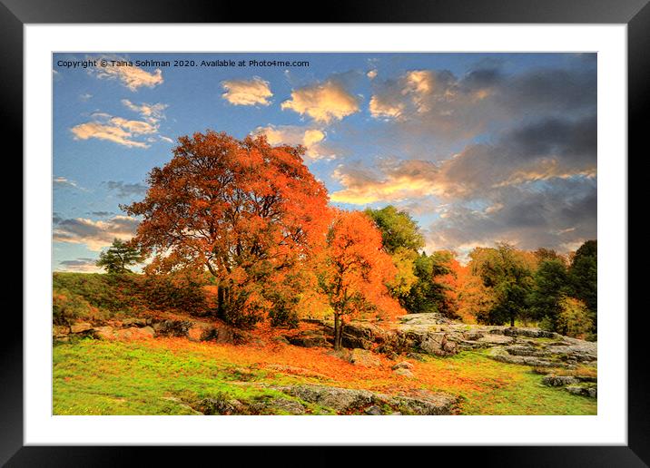 Golden Hour in Autumnal Park Framed Mounted Print by Taina Sohlman
