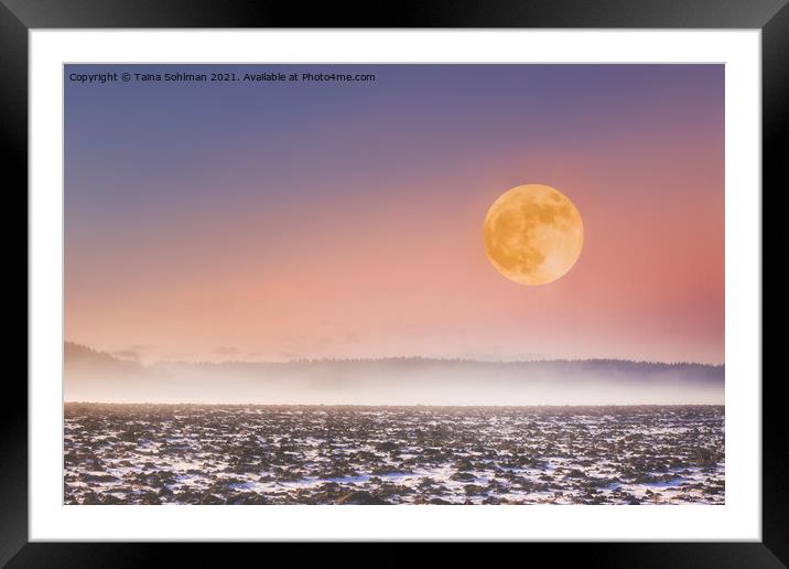 Full Moon over Misty Fields  Framed Mounted Print by Taina Sohlman
