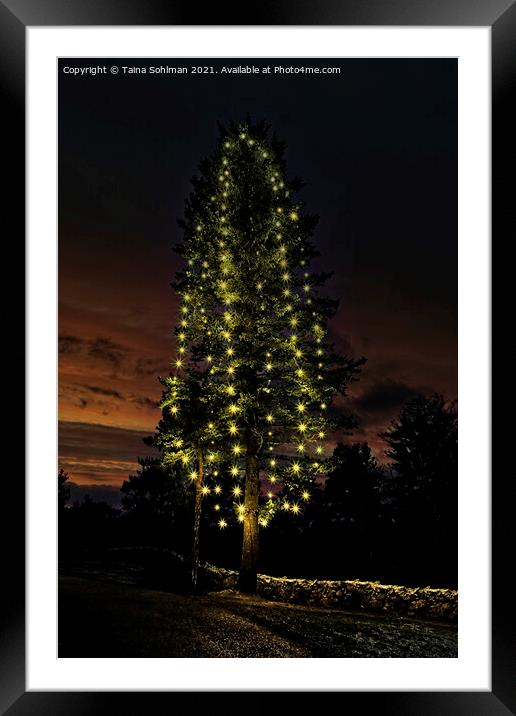 Illuminated Christmas Tree at Twilight Framed Mounted Print by Taina Sohlman