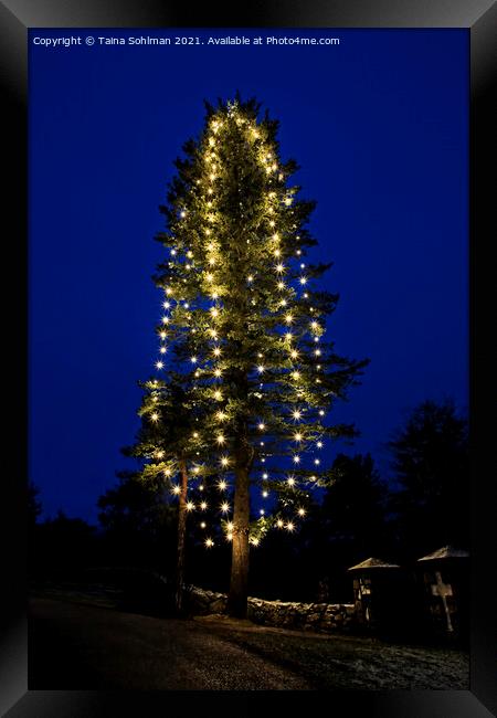 Illuminated Christmas Tree at Blue Hour Framed Print by Taina Sohlman
