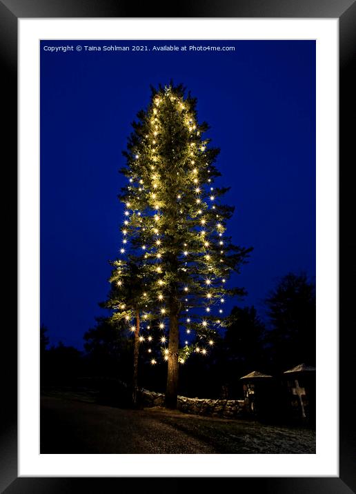 Illuminated Christmas Tree at Blue Hour Framed Mounted Print by Taina Sohlman
