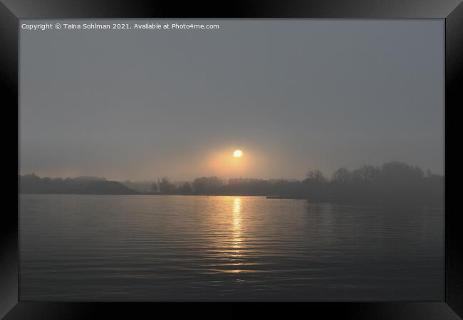 Sunrise Through November Fog Framed Print by Taina Sohlman