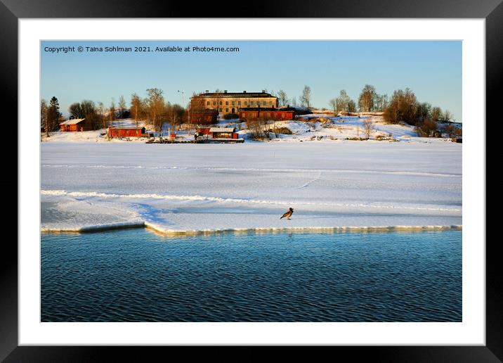 Sea Ice Beginning to Drift Framed Mounted Print by Taina Sohlman