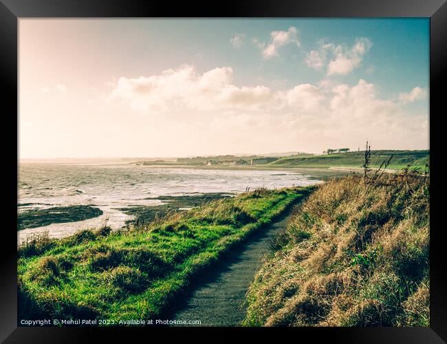 Coastal path by Seaton Cliffs near Arbroath, Scotland.  Framed Print by Mehul Patel