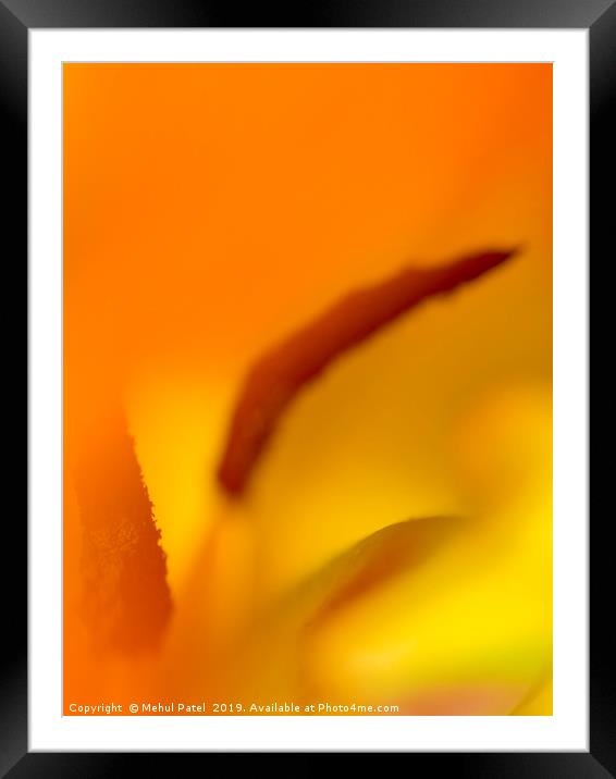 Abstract image inside a tulip  Framed Mounted Print by Mehul Patel