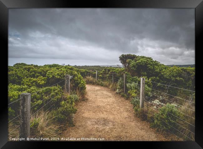 Pathway in national park under cloudy sky Framed Print by Mehul Patel