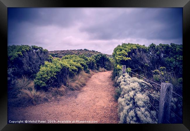 Trail in Port Campbell National Park, Australia Framed Print by Mehul Patel