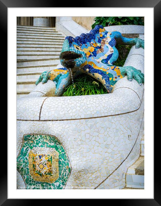 Lizard fountain in Parc Guell, Barcelona, Catalonia, Spain, Europe Framed Mounted Print by Mehul Patel