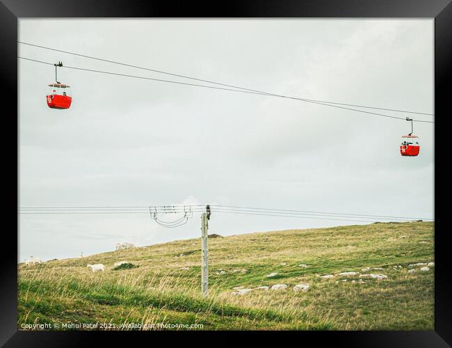 Red cable cars and goats on hill at the Great Orme Country Park above Llandudno, North Wales, UK Framed Print by Mehul Patel