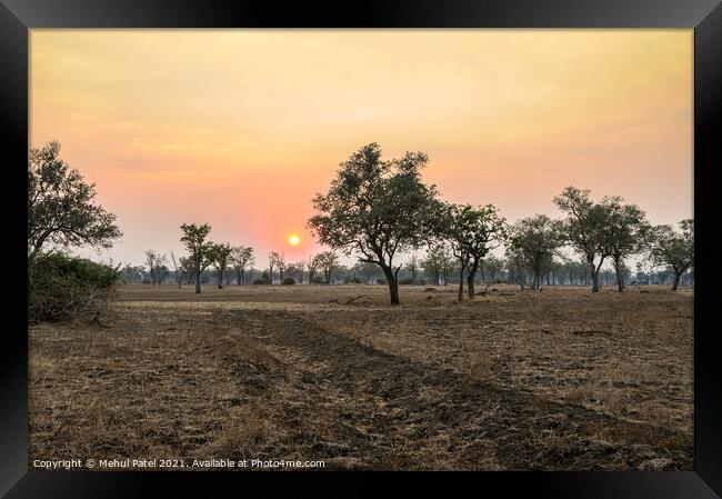 Sunsetting upon African plain with dirt track Framed Print by Mehul Patel