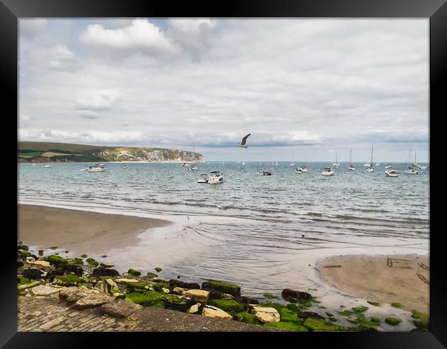 Fishing boats at Swanage Framed Print by Hayley Jewell