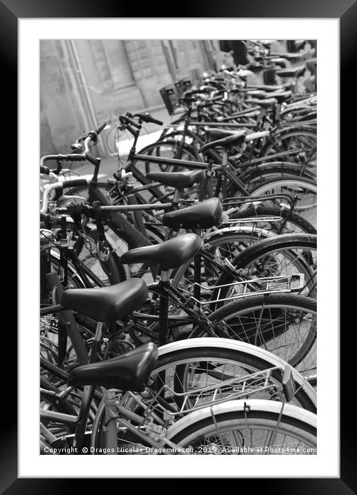 Row of bicycles black and white photography Framed Mounted Print by Dragos Nicolae Dragomirescu
