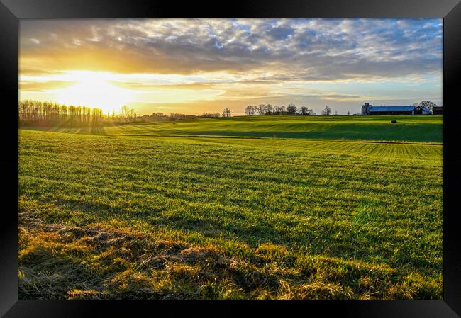 scenic wiew over green agriculture field and sunset Framed Print by Jonas Rönnbro