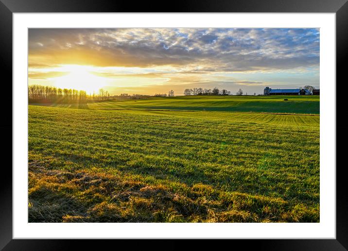 scenic wiew over green agriculture field and sunset Framed Mounted Print by Jonas Rönnbro