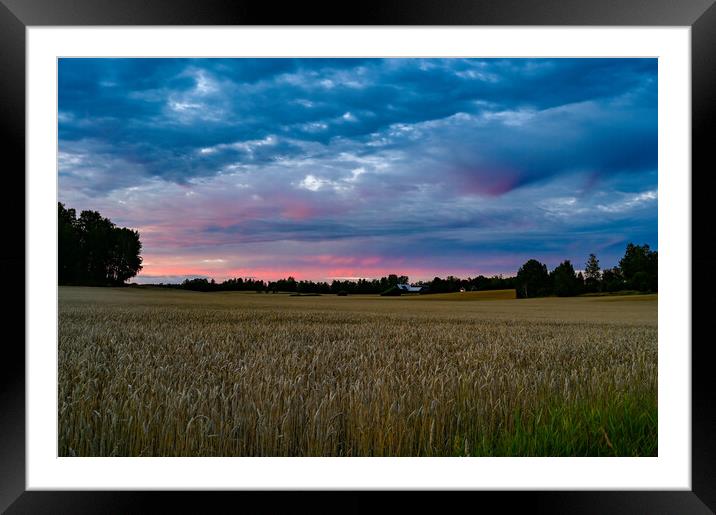 Dramatic sunset over fields near Kumla Sweden Framed Mounted Print by Jonas Rönnbro