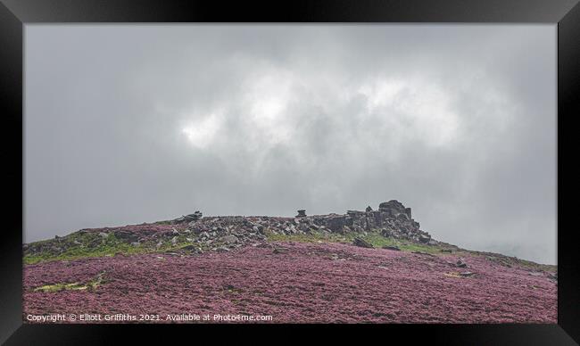 Sea of Heather Framed Print by Elliott Griffiths