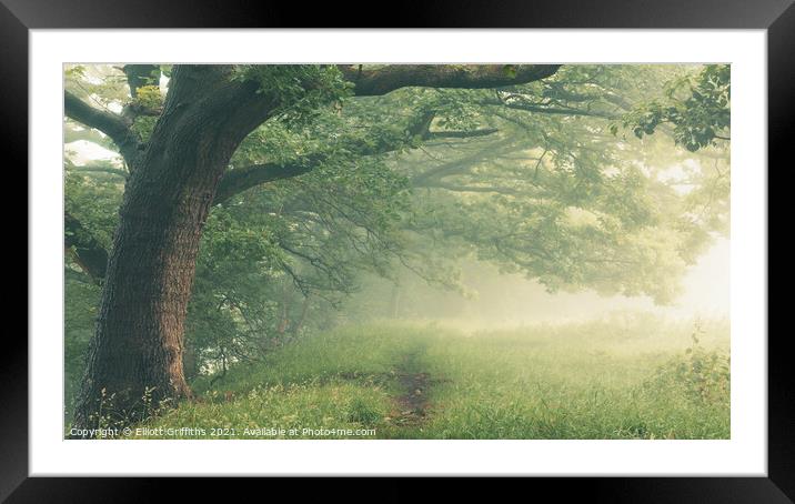 Enchanted Mist Framed Mounted Print by Elliott Griffiths