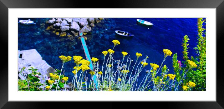 Yellow flowers and the blue ocean - Amalfi Coast Framed Mounted Print by Alessandro Ricardo Uva