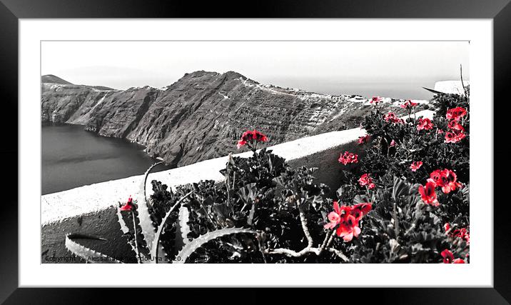 red flowers at Santorini Framed Mounted Print by Alessandro Ricardo Uva