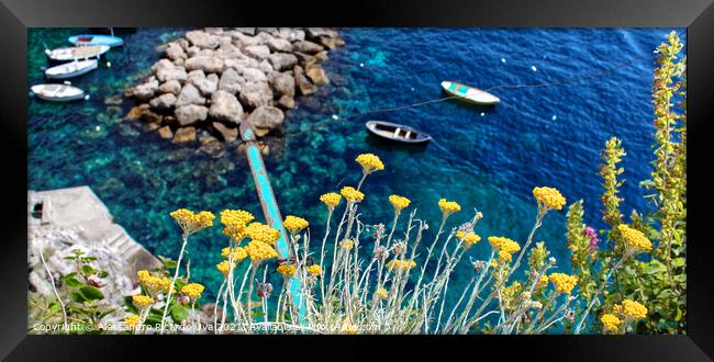 Flowers   Framed Print by Alessandro Ricardo Uva