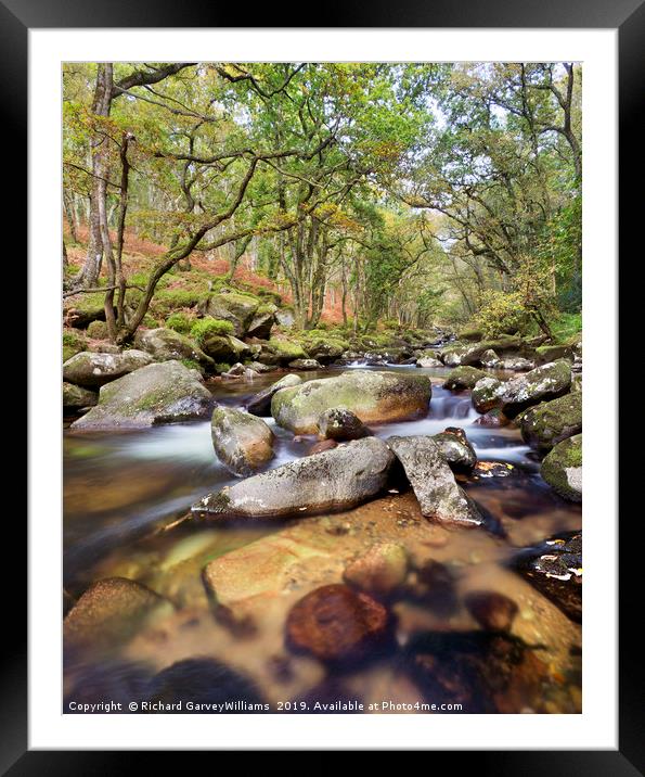 River Plym in Dewerstone Woods Framed Mounted Print by Richard GarveyWilliams