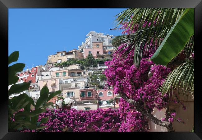 Positano Italy Framed Print by Brenda Belcher