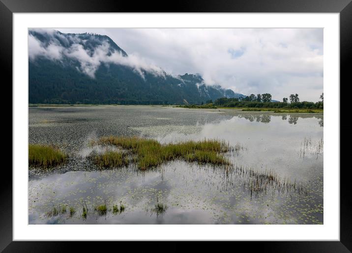 Pitt Meadows, British Columbia Framed Mounted Print by Brenda Belcher