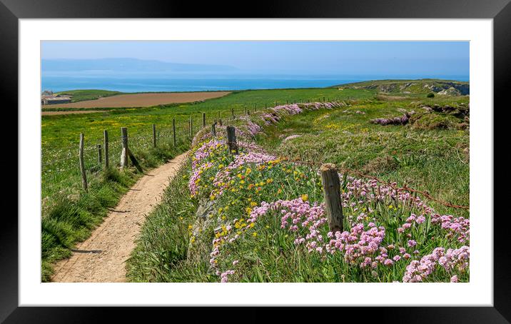 South West Coast Path Framed Mounted Print by Brenda Belcher