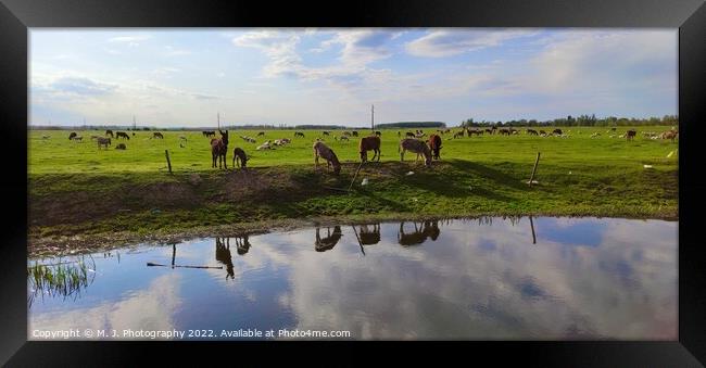 Outdoor paradise path with animal ranch Framed Print by M. J. Photography