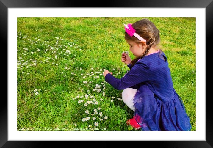 A little girl that is standing in the grass and picking flowers Framed Mounted Print by M. J. Photography