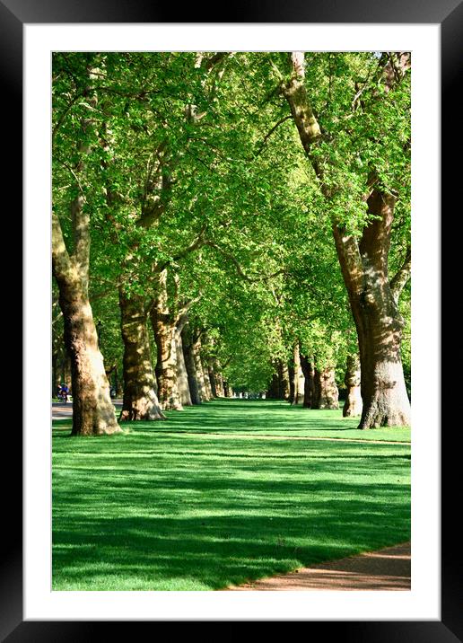 Hyde Park in London, UK, Framed Mounted Print by M. J. Photography