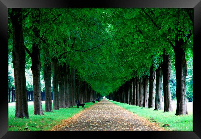 George Gardens in Hannover, Germany Framed Print by M. J. Photography