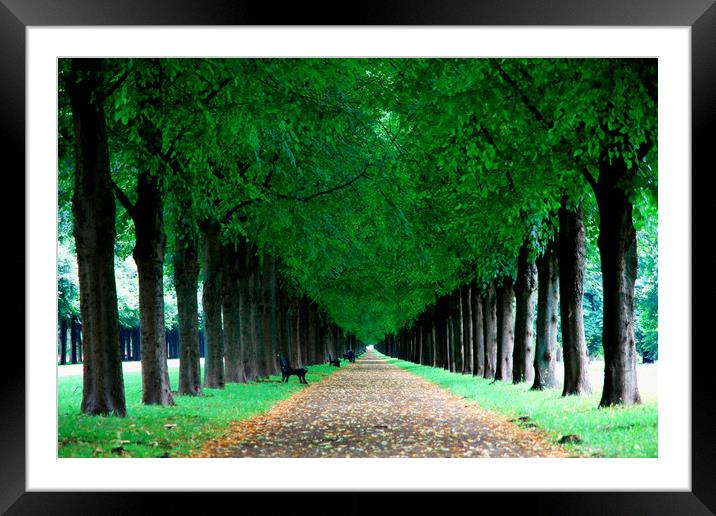 George Gardens in Hannover, Germany Framed Mounted Print by M. J. Photography