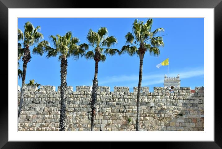 The Old City walls is square and big walled area w Framed Mounted Print by M. J. Photography