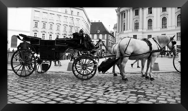 Vienna street attraction, horse-drawn carriage thr Framed Print by M. J. Photography