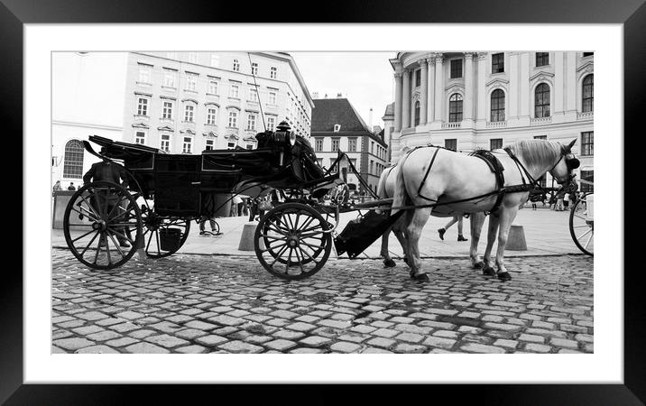 Vienna street attraction, horse-drawn carriage thr Framed Mounted Print by M. J. Photography