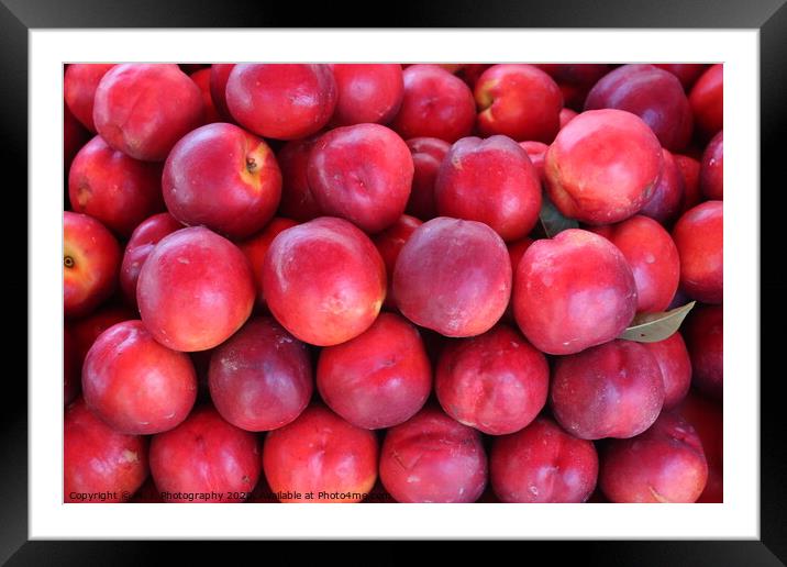 Apples Framed Mounted Print by M. J. Photography