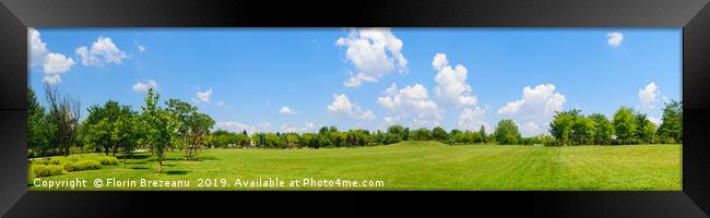 panorama of green lawn field and trees. Framed Print by Florin Brezeanu