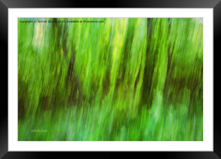 Natural abstract forest artwork Framed Mounted Print by Wdnet Studio