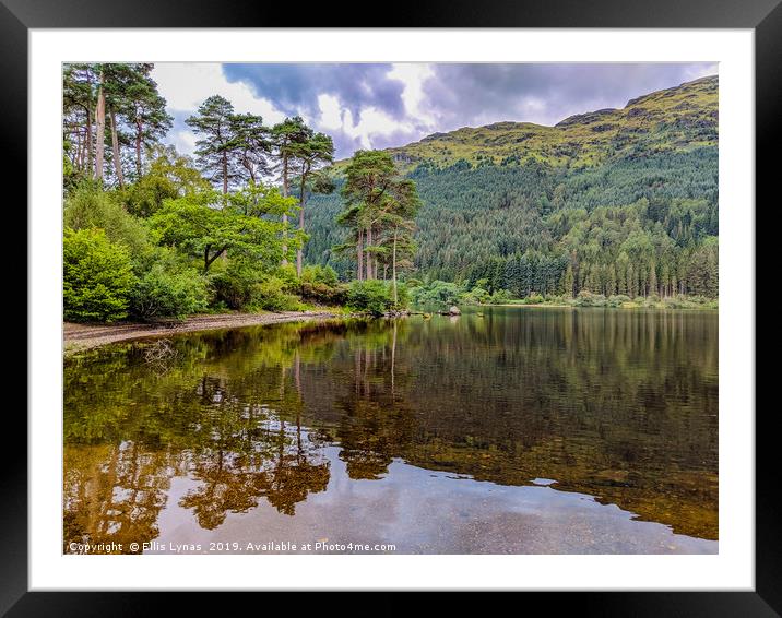 Scotland Loch Eck Framed Mounted Print by Ellis Lynas