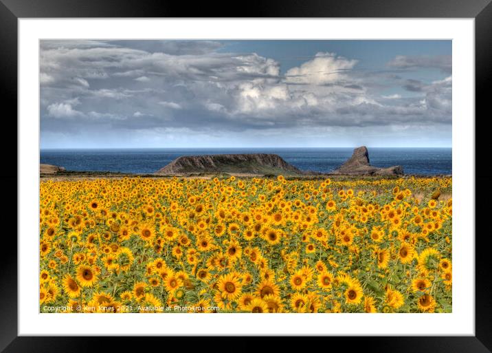 Rhossili Sunflowers Framed Mounted Print by Ken Jones