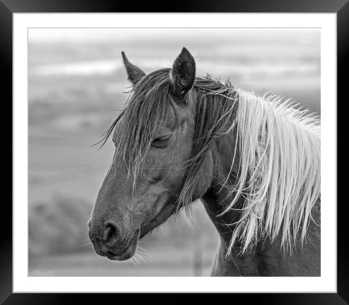 Quiet time. Framed Mounted Print by Ian Taylor