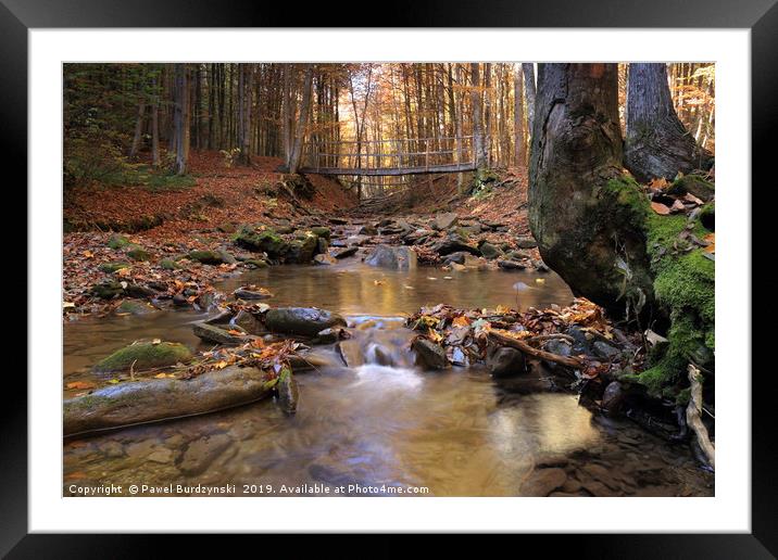 Autumn stream Framed Mounted Print by Pawel Burdzynski