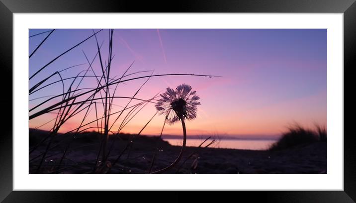 Swansea sunrise Framed Mounted Print by Duane evans