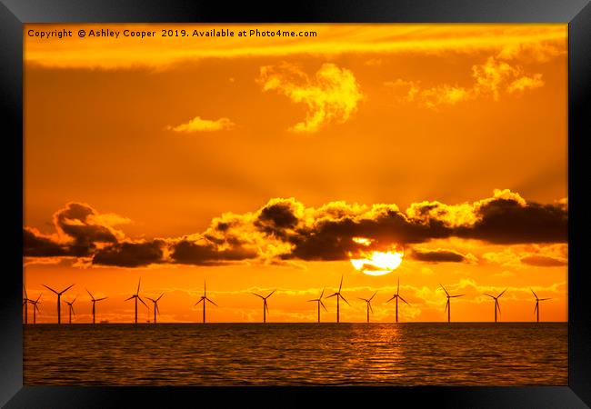 Sunset over the Walney offshore Wind farm Framed Print by Ashley Cooper