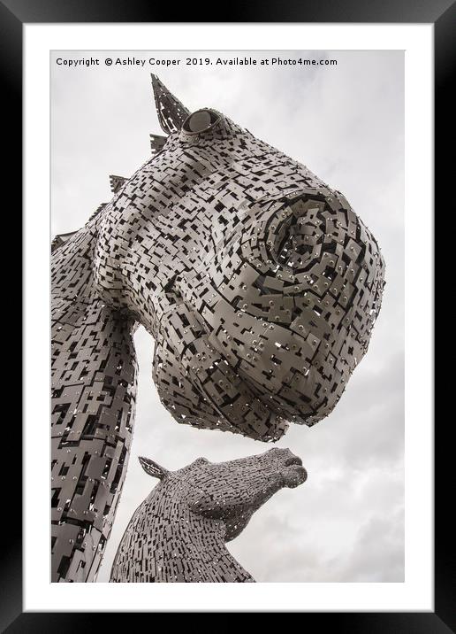 The Kelpies. Framed Mounted Print by Ashley Cooper