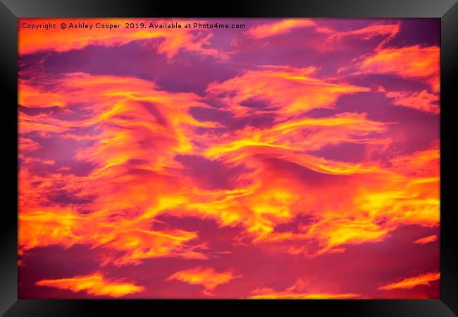 Golden Sky. Framed Print by Ashley Cooper