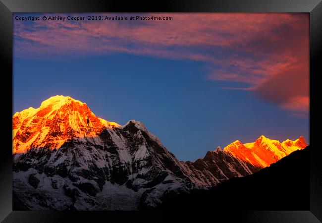 Annapurna Framed Print by Ashley Cooper